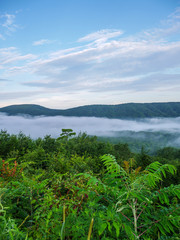 Fototapeta na wymiar fog in the valley below a scenic overlook along the skyway motorway in the talladega national forest, alabama, usa