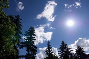 clouds and sky