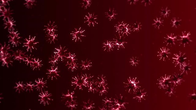 Flying many virus cells on red background. Medical concept, Microscopic illustration. 3D animation of virus molecule rotating. Loop animation.