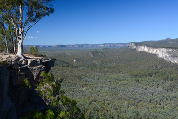 Fototapeta na wymiar Boolimba Bluff, Carnarvon Gorge National Park, Queensland, Australia