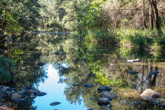 Carnarvon Gorge
National Park
Queensland
Australia
Landscape
