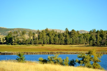 autumn landscape with lake and trees