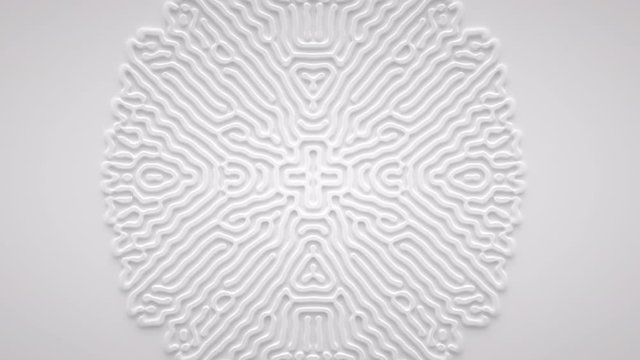 Reaction diffusion organic growing pattern. Turing system science background.