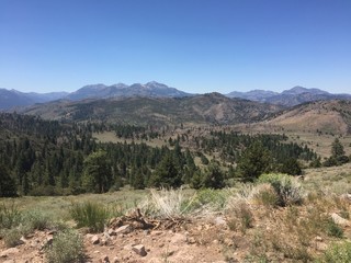Mineral mountain in the distance, viewed from a picnic area on highway 89, in El Dorado County, California.