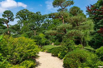 Path in the Garden