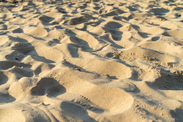 small sand dunes on the beach, a few steps on the sand