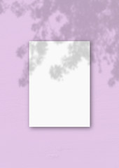 The vertical sheet of white textured A4 paper on the pink wall background. Mockup overlay with the...