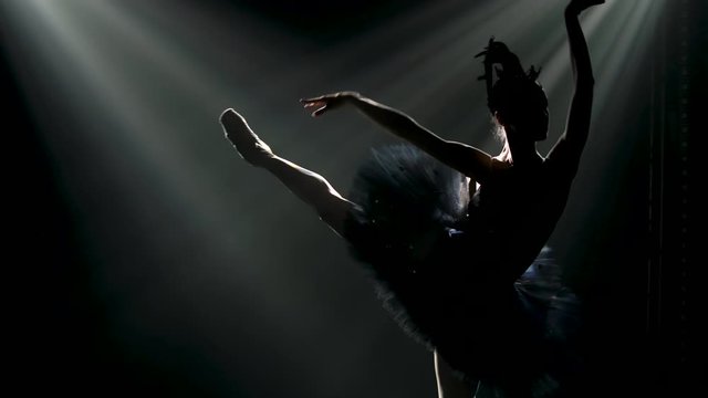 Silhouette of a graceful ballerina in a chic image of a black swan. Dancing of elements classical ballet. Shot in a dark studio with smoke and dynamic neon lighting.