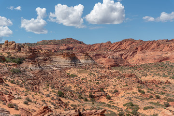 Zion National Park Utah