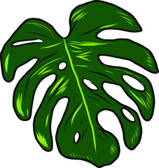 Monstera leaf Isolated Floral Tropical Hawaiian Flower Pattern design. Illustration vector Art