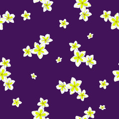 Plumeria Flower Hawaiian Floral Pattern On Purple Background Isolated. Tropical Flower Seamless repeat patterns