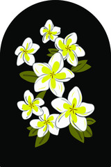 Plumeria Flower Hawaiian Floral Pattern With Black Arch. Tropical Flowers