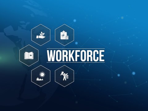 workforce