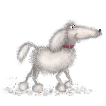 black and white dog.