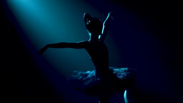 Silhouette of a graceful ballerina in a chic image of a black swan. Classic ballet pas. Shot in a dark studio with smoke and neon lighting. Slow motion.