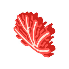 marine seaweed branch isometric icon vector illustration