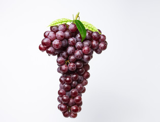 A large bunch of red grapes with leaves There are water droplets on new grapes, fresh, white background.