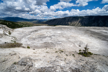 The bleached, upper travertine terraces of Mammoth Hot Springs in Yellowstone National Park