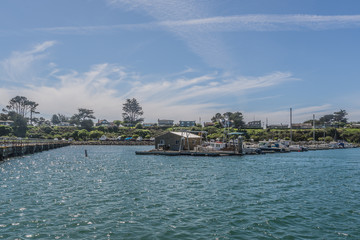 Obraz premium Bodega Bay, CA, EUA - MARCH 23 2016: Highway 1 California 1 Bodega Bay Beach