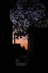 entardecer na cidade ; por do sol .