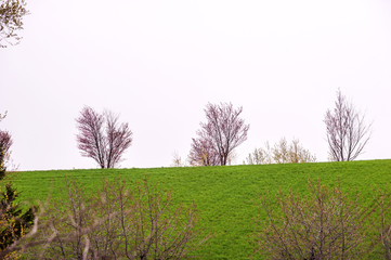 Obraz premium Agricultural field,brown soil farm landscape,Line of arable land.