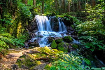 Obraz premium 瓜割の滝