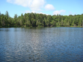 Fototapeta na wymiar Small lake surrounded by trees