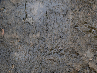 The naturale background