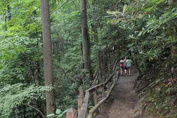 Three girls walking down a forest path with split rail fence