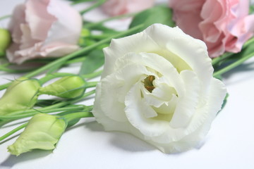 bouquet of eustoma