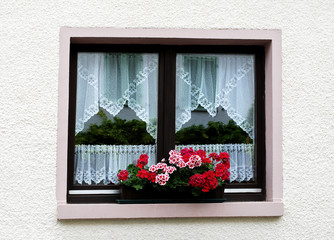 Window decorated with geranium 