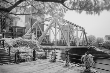 Fototapeta premium 横浜みなとみらいの汽車道