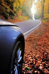  Autumn travel and trips.Road view.  Car on the autumn road.Silver  car on the road with autumn...