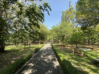 close up walkway in nature garden