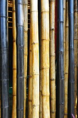 Multi-colored bamboo poles abstract vertical background
