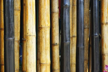 Multi-color bamboo poles horizontal background pattern