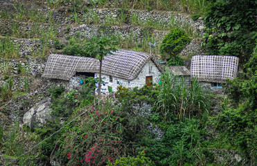 my house