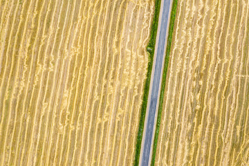 top view of rural road through the farmland with mown fields after harvest. aerial photo