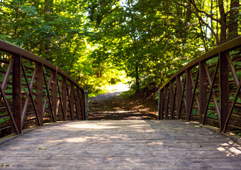 Wooden bridge over the stream in the forest with sunlight in the background during beautiful summer day