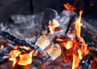 Roasting marshmallows over hot fire