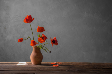 red poppy in jug on dark background
