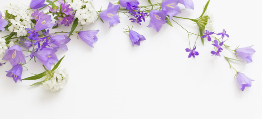 Fototapeta na wymiar violet wild flowers on white background
