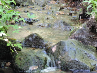 Parc Shefford