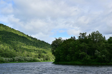 River in the taiga.