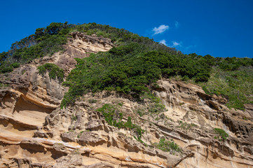 Fototapeta na wymiar 種子島の波に侵食された海食洞の奇岩