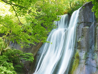 北海道の夏風景 滝野 鱒見の滝