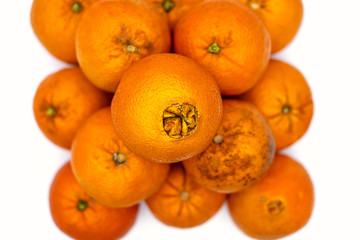 oranges in a pile against white background