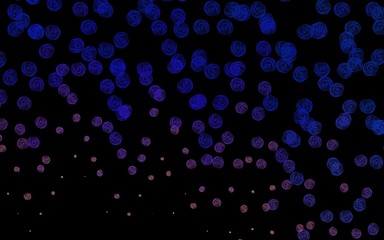 Dark Blue, Yellow vector natural background with flowers, roses.