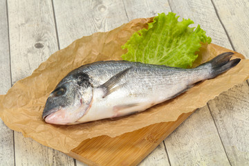 Raw Dorada fish  for cooking