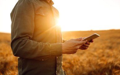 Farmer in a sterile mask with a tablet in their hands in a wheat field at sunset. Agro business....